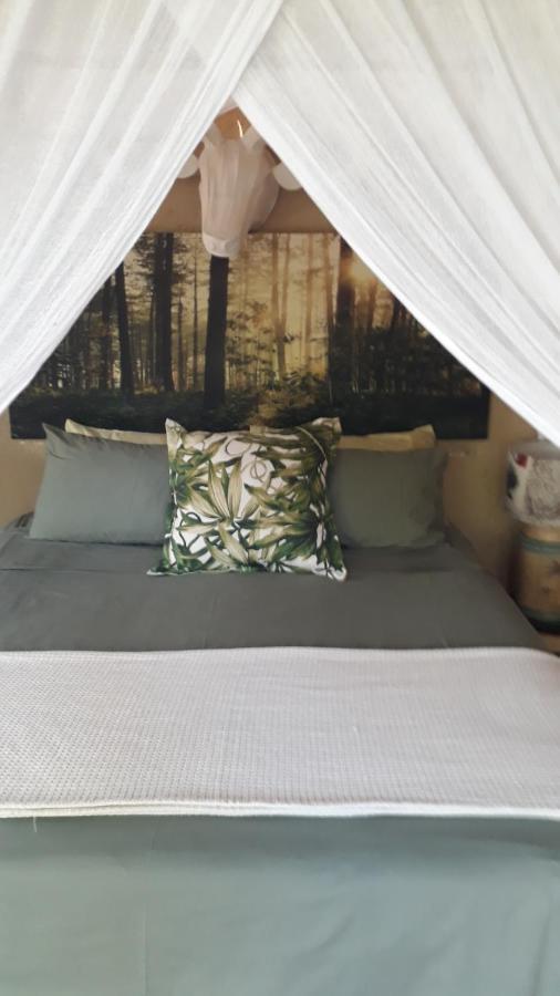 Canyon Guest * Hoedspruit